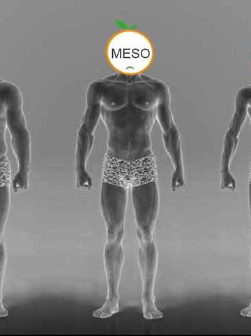 somatotipo_ectomorfo_endomorfo_mesomorfo_