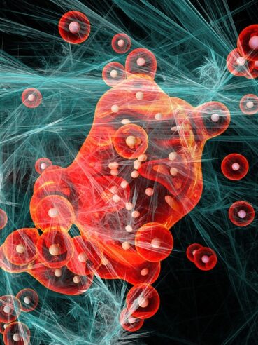 micronutrienti vegetariani