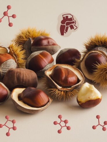 castagne e molecole di composizione