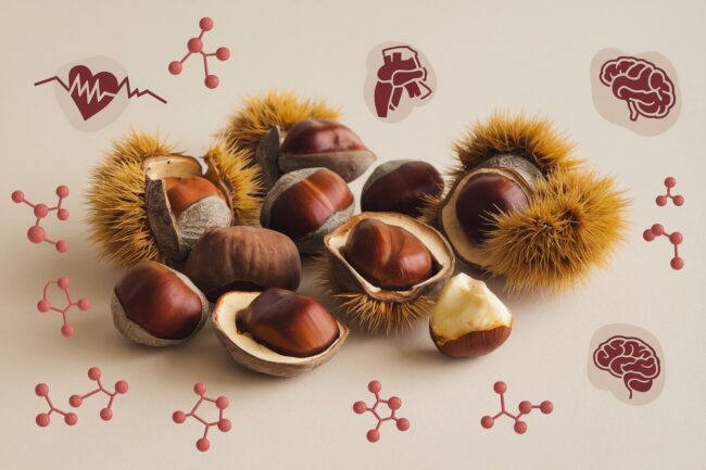 castagne-composizione-proprità-guscio castagne e molecole di composizione